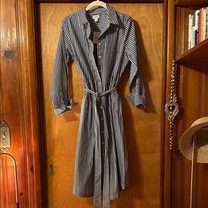 J. Crew Blue and White Striped Long Sleeve Dress